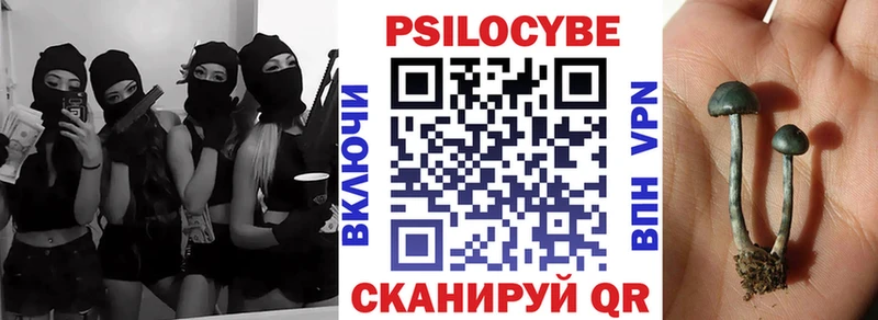 Псилоцибиновые грибы Psilocybine cubensis Котельниково